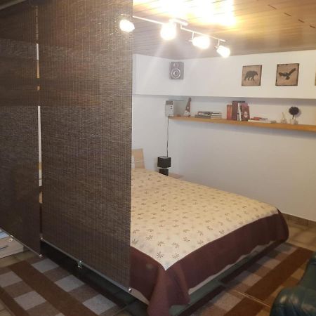 Gemuetliche Ferienwohnung Mit Kamin Und Sauna! Nistertal Exterior foto