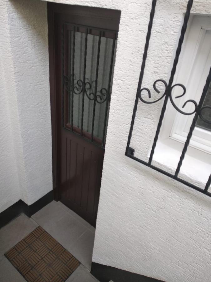 Gemuetliche Ferienwohnung Mit Kamin Und Sauna! Nistertal Exterior foto