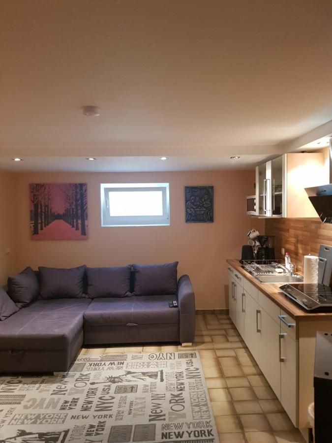 Gemuetliche Ferienwohnung Mit Kamin Und Sauna! Nistertal Exterior foto
