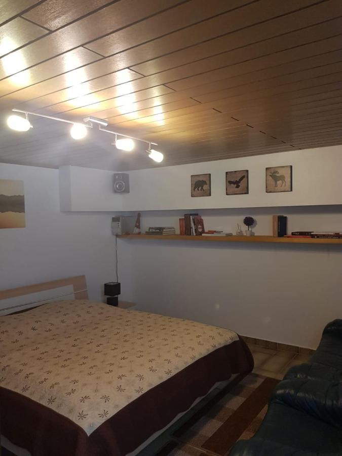 Gemuetliche Ferienwohnung Mit Kamin Und Sauna! Nistertal Exterior foto